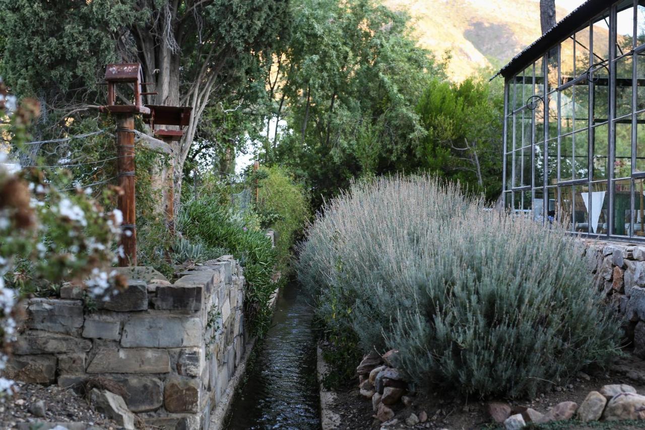 Dennehof Karoo Guesthouse Принс-Альберт Экстерьер фото